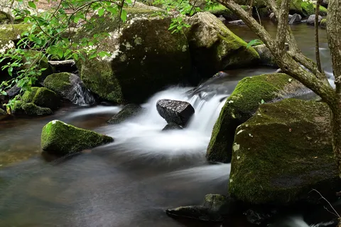 苔と流れの小さな谷