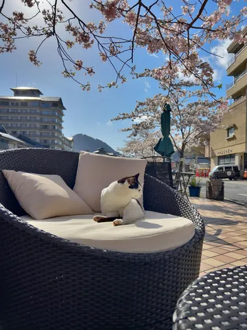 桜の街角でひと休み