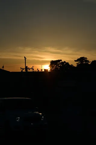 カラスも一息、夕陽と静寂