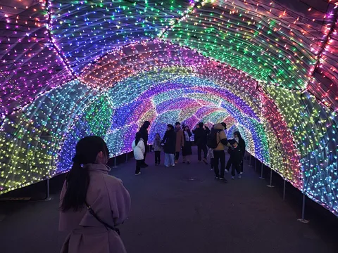 光のトンネル、映え圧がすごい！