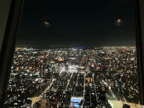 夜景の海に灯る無数の光