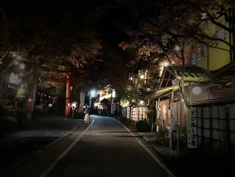 夜の鳥居と提灯、幻想的な和の風景