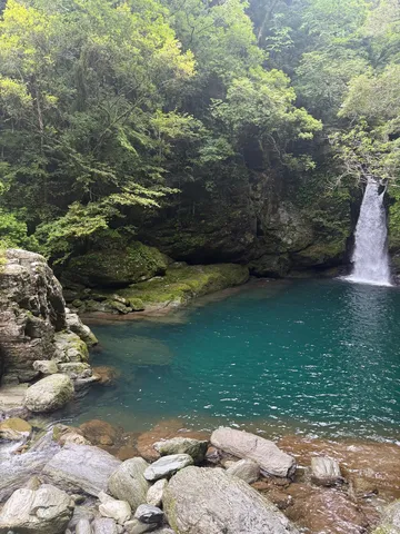 森に抱かれた青い泉