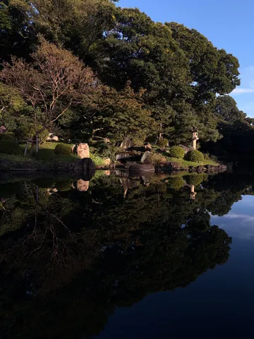 水面に映る静かな庭の光