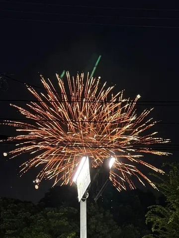 夜空に咲く光の花