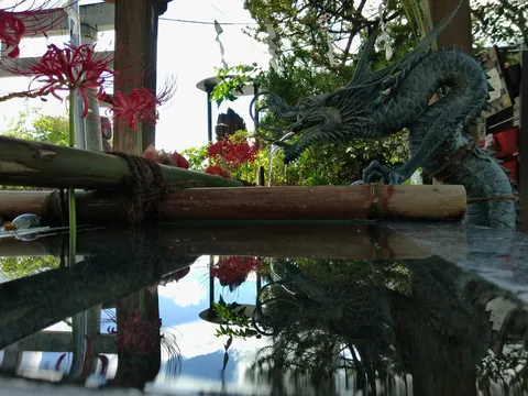 水面に映る竜の影