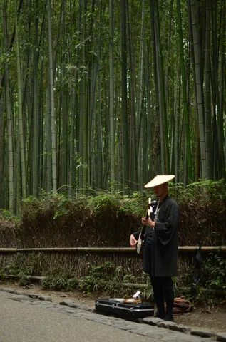 竹林に響く静かな旋律