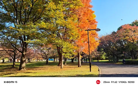 紅葉と青空の散歩道