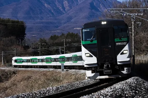 山並みと緑の帯を走る列車