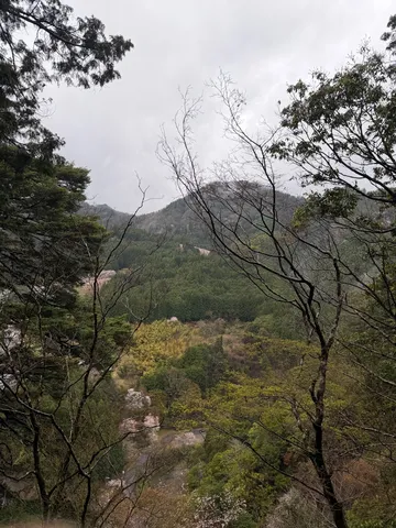 山峡にひそむ春の影