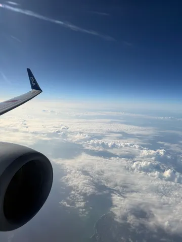 雲海と飛行機雲