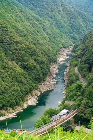 深い緑の峡谷リバー風景
