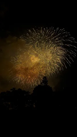 夜空に咲く華やかな光