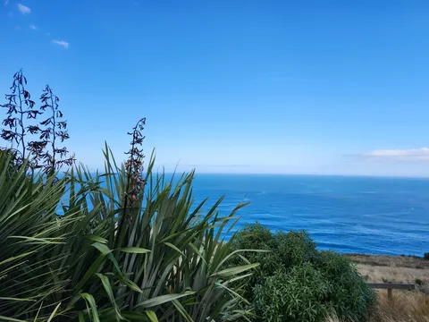 青い海と生命力あふれる植物