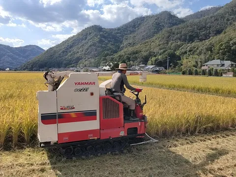 山あいの稲刈りピットイン