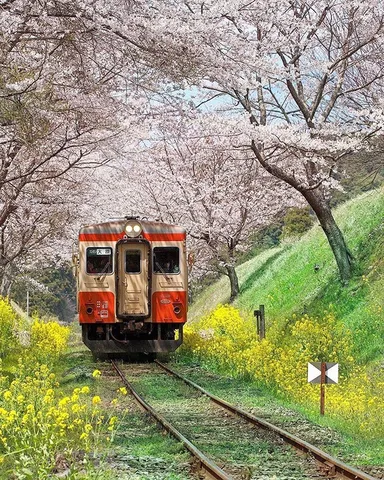 花と走る春の夢