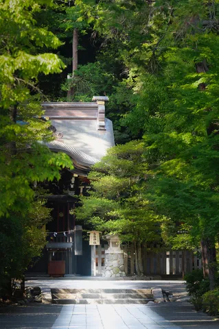 新緑に包まれた静謐な境内