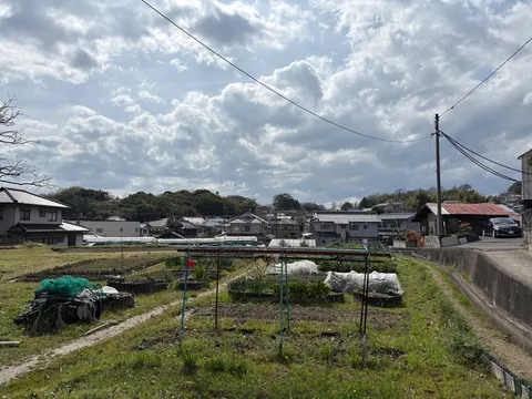 田舎の日常、時々、畑仕事
