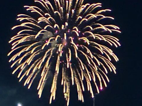 夜空を縫う金色の軌跡