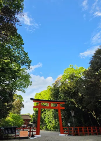 青空と鳥居、緑のコントラスト