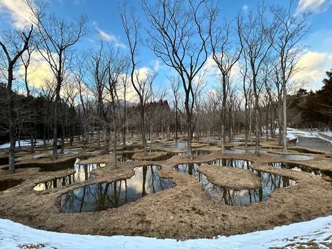 枯れ木と水鏡の冬景色