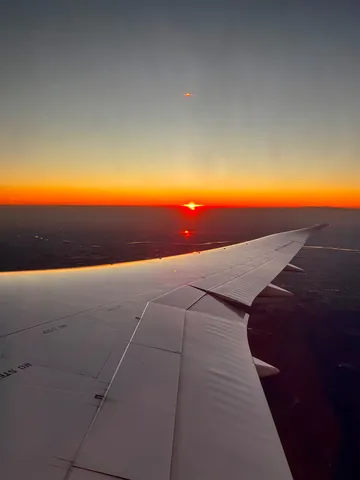 空に沈む太陽、翼のシルエット