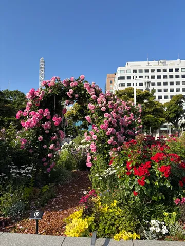 バラのアーチと青い空