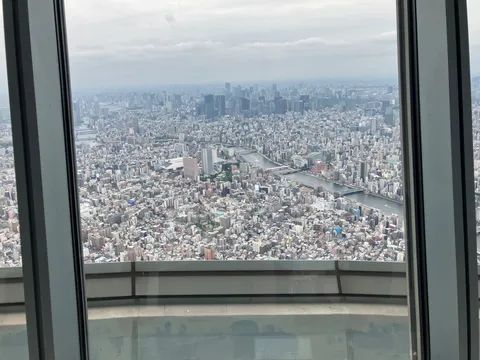 空へ広がる都市景観