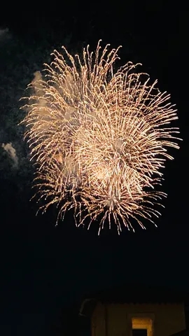 夜空を彩る黄金の華