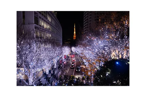 東京タワーと光の並木道