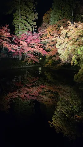紅葉と水鏡、夜の静寂
