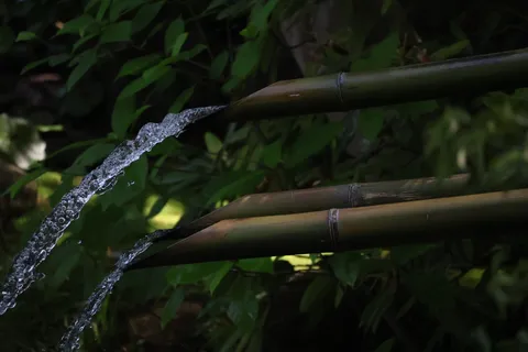 涼を呼ぶ竹の雫