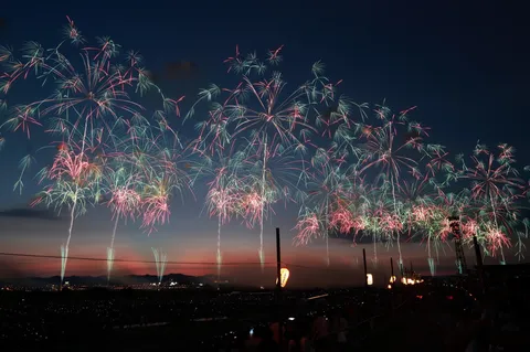 夜空を彩る花火の饗宴