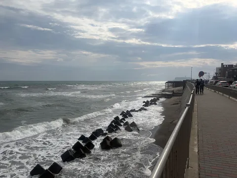 海辺の風と波のリズム