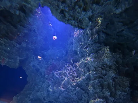 青の洞窟に浮かぶ光の影
