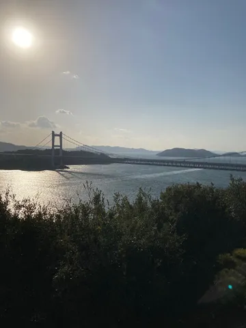 青空と橋、そして木々のコントラスト