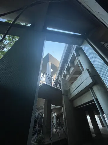 母校