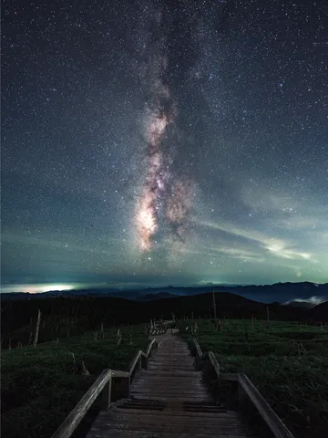 星空へ続く木道