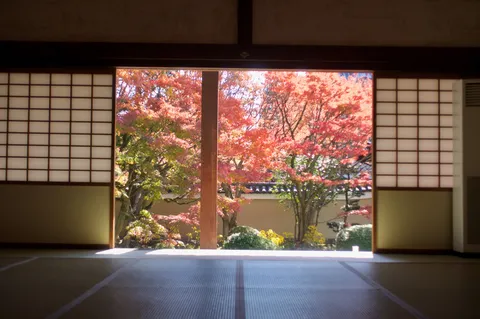 障子の向こうに燃える秋