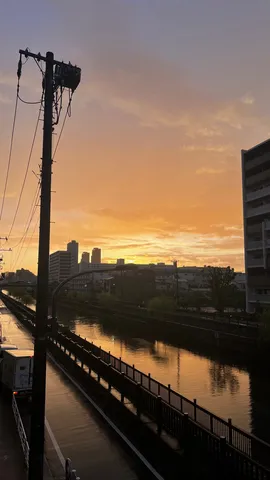 黄金に染まる川辺の夕景