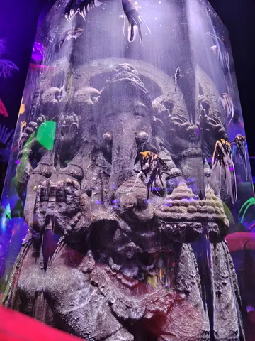水中の神秘、ガネーシャの姿