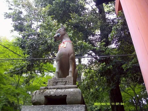 狛犬、木漏れ日の鎮守