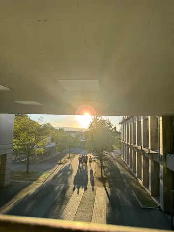 夕暮れの通り道、光と人影