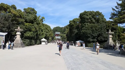 樹陰の参道、寺門へ
