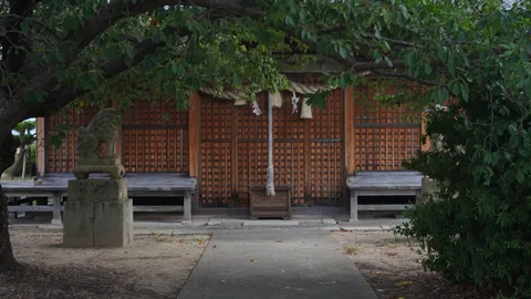 木陰の静かな祈り