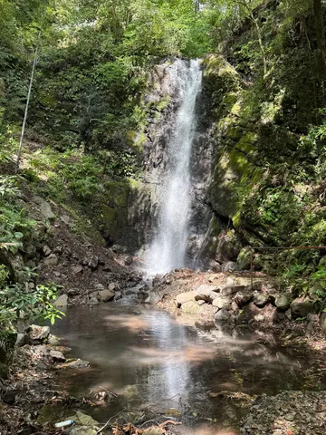 苔と水音の森の滝