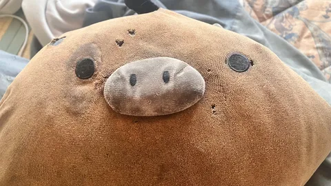 土のぬいぐるみの温もり