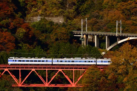 秋彩を駆ける鉄路