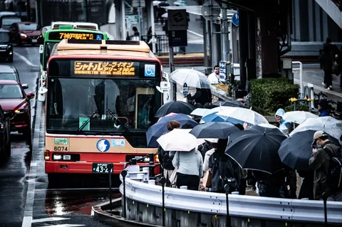傘が彩る都会の雨