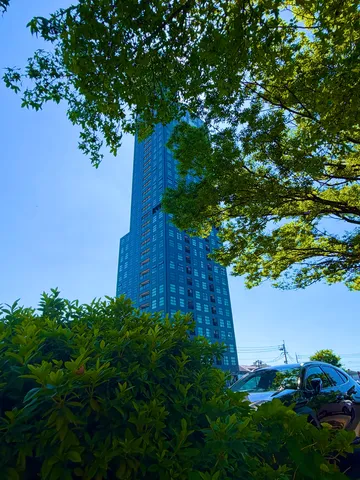 空へと伸びる碧い息吹